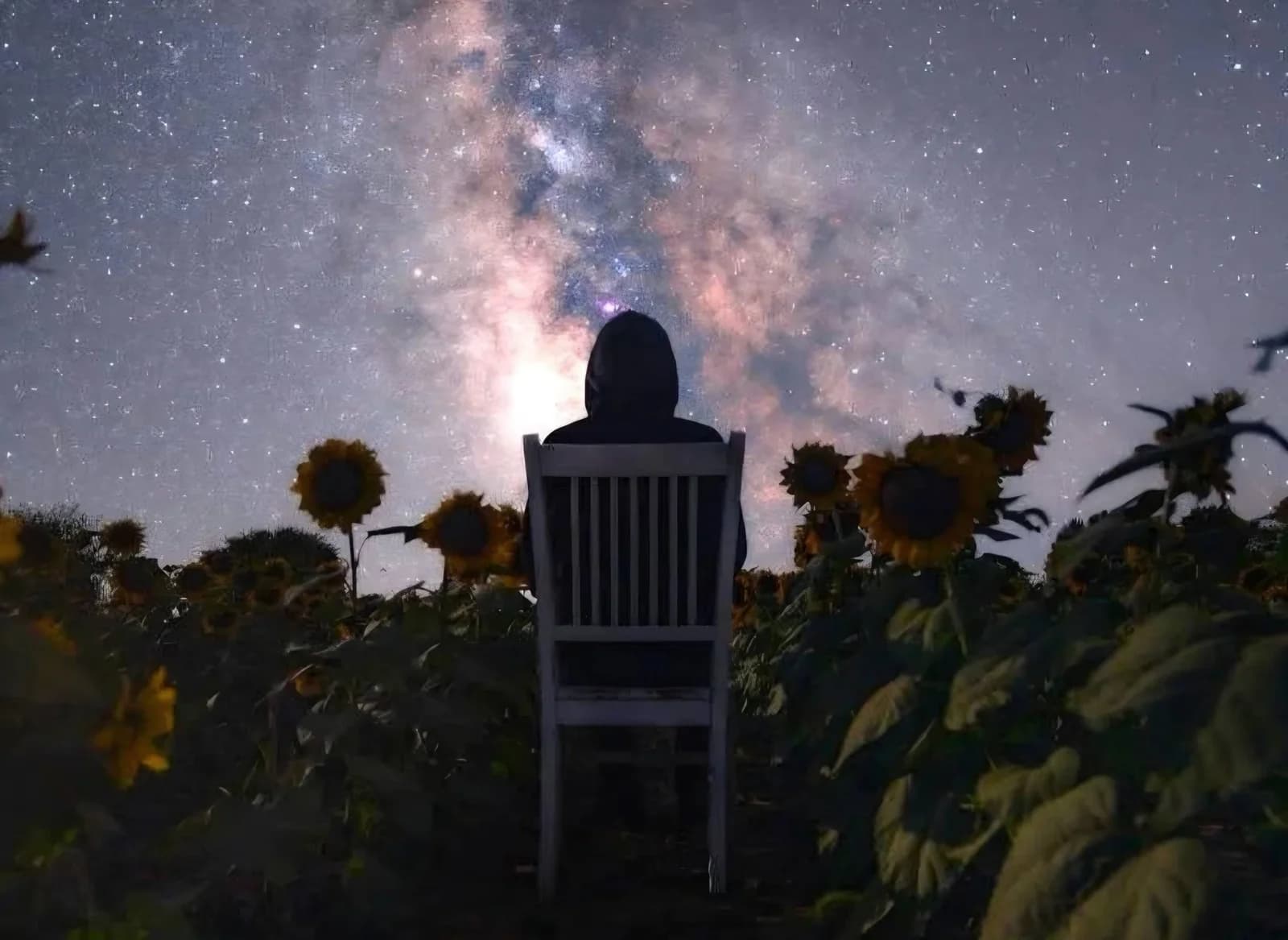 Night sky photography by Aaron of Vinci Snaps
